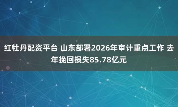 红牡丹配资平台 山东部署2026年审计重点工作 去年挽回损失85.78亿元