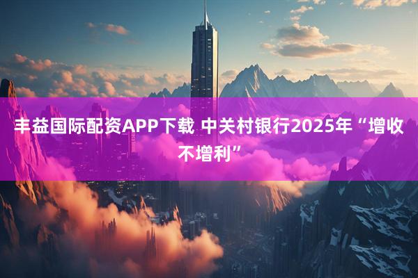 丰益国际配资APP下载 中关村银行2025年“增收不增利”