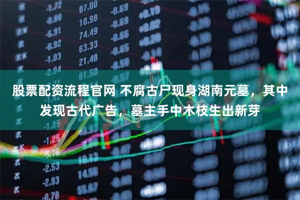 股票配资流程官网 不腐古尸现身湖南元墓，其中发现古代广告，墓主手中木枝生出新芽
